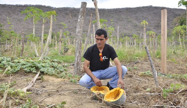 Cultivadores de Auyama empezaron a reportar pérdidas por la falta de agua en veredas de Cúcuta y San Cayetano. Edinsson Figueroa