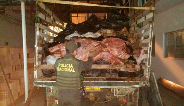 La carne fue hallada dentro de un vehículo Ford 250, modelo Ranger, de placas IBF450. Policía Nacional
