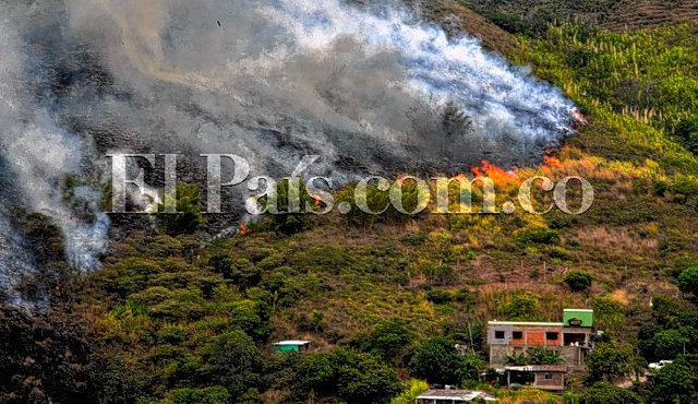 Desde el 1 de enero hasta este jueves, en Cali se han registrado 413 incendios forestales. El País