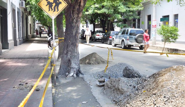 Los encargados de la obra taparon las raíces de los árboles con concreto. Edinsson Figueroa