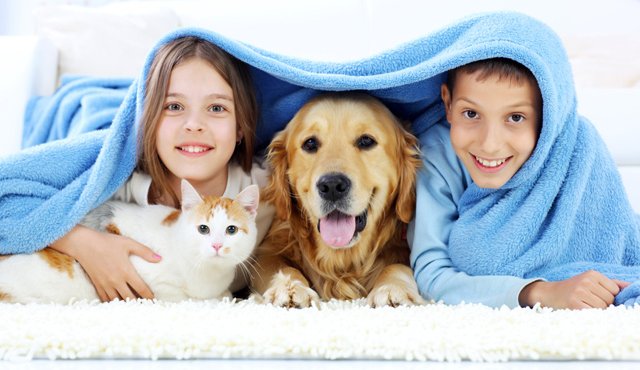 Los niños deben ser quienes escojan a sus mascotas para adquirir mayor compromiso. Internet