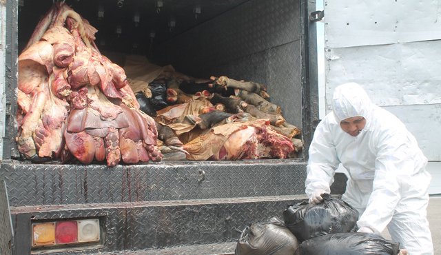 Los 3.000 kilos de carne y vísceras producían un olor nauseabundo debido al estado de descomposición por las condiciones en que eran transportados. Policía Nacional
