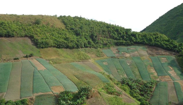 Buscarán proteger las zonas agrícolas más expuestas al fenómeno de El Niño. Archivo