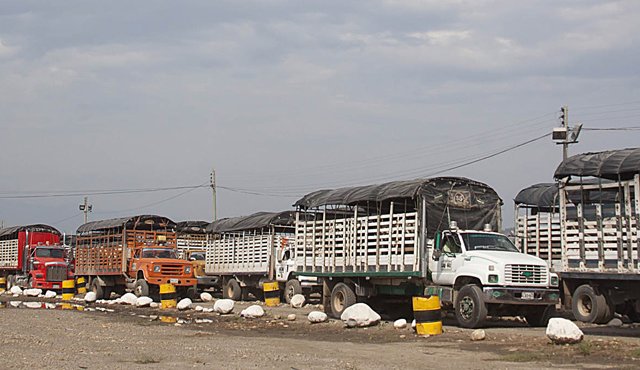 La mercancía movilizada entre colombia y venezuela suma 874 millones de dólares, muy por debajo de los 1.440 millones de 2014. Archivo