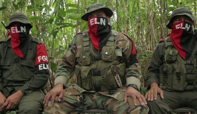 Miembros del Eln. Internet