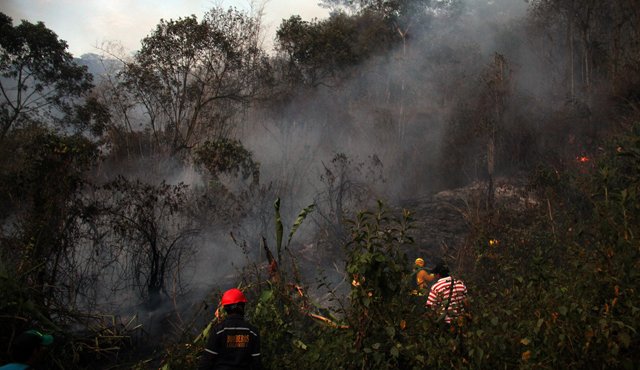 Según la Unidad Nacional para la Gestión del Riesgo de Desastres, hay 42 focos activos. Colprensa