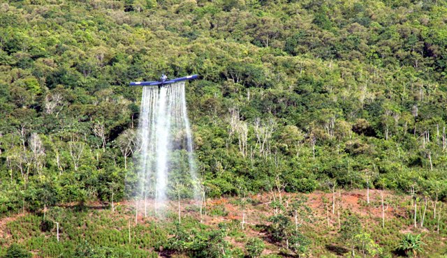 La erradicación total de los cultivos ilícitos en el Catatumbo como parte del posconflicto es uno de los desafíos del Gobierno. Archivo
