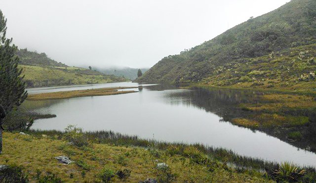 El primer viaje organizado por los estudiantes fue a la laguna de Cácota. Cortesía