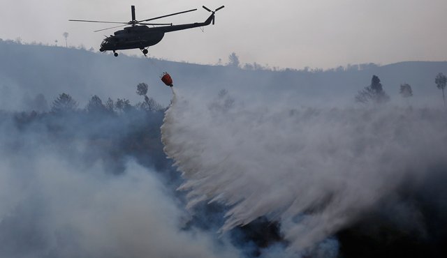 Innumerable incedios forestales se han registrado en el país. Colprensa
