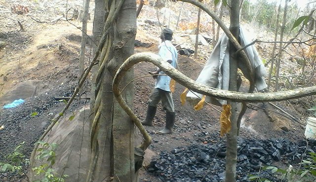 Los restos de Luis Durán fueron encontrados debajo de una piedra . Cortesía