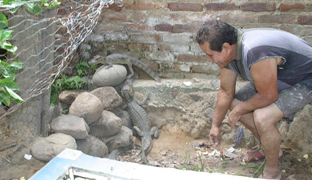 Evaristo Martínez dedicó 22 años de su vida a ser vendedor ambulante y a cuidar animales. Archivo