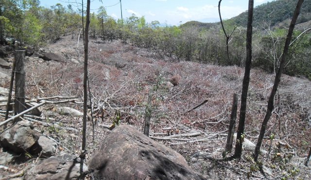 La falta de lluvias en esta región tiene en máxima alerta a las autoridades locales, pues nunca se había presentado una emergencia como la actual sequía. Alcaldía de Durania