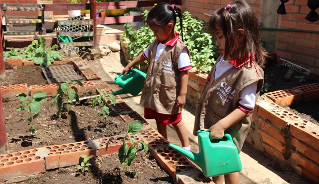 En el CDI Aurora de Colores de Atalaya, los niños tienen un proyecto de huerta escolar. Rodrigo Sandoval