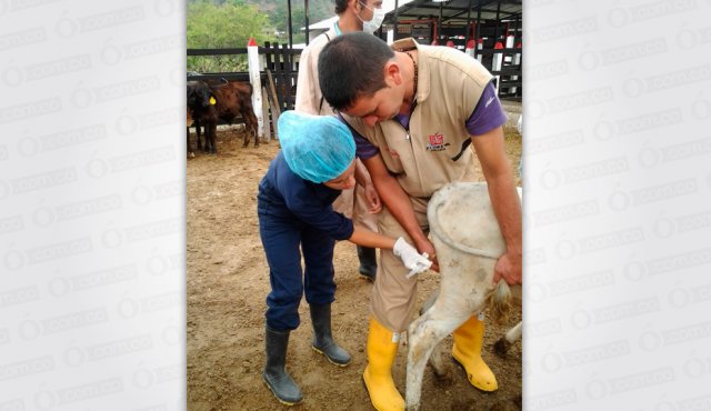En la granja se habilitaron varias carpas para dar a conocer los servicios. Daicy Echeverri