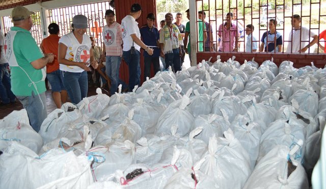 La atención proviene, en su mayoría, de la Unidad de Víctimas, pero también son fundamentales las alianzas con organismos internacionales. Alcaldía de El Tarra