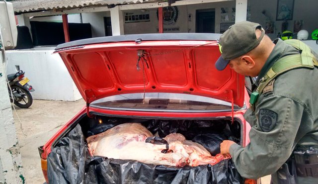 Posiblemente el alimento era traído hacia los mercados locales. Policía Nacional