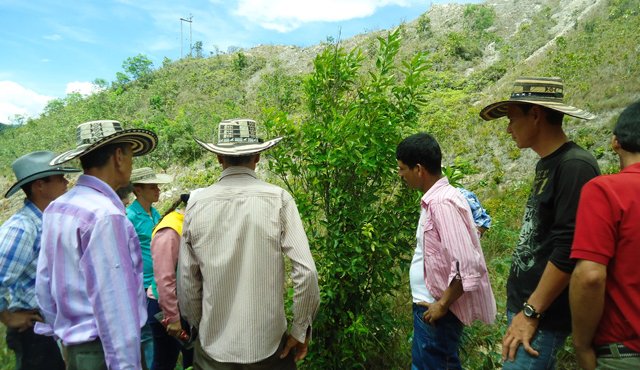 Miembros de Ascamcat y funcionarios de la UFPS trabajan en conjunto para desarrollar proyectos de investigación en el sector rural. Daicy Echeverri