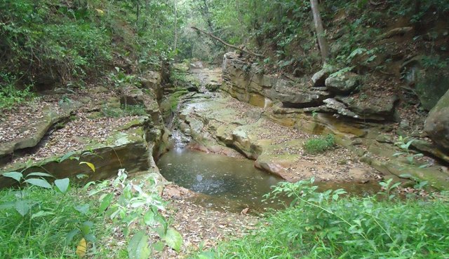 La finca los caballos, en San José de la Vega, es solo uno de los predios rurales que tiene invadidos Cúcuta. Archivo