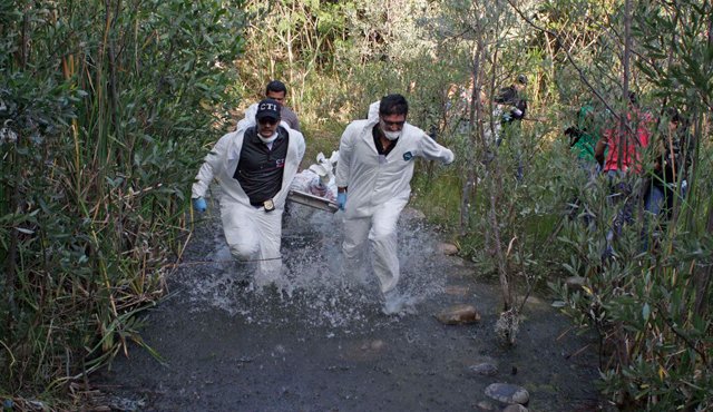 El cadáver fue trasladado a Medicina Legal en Cúcuta y fue entregado a su pareja Francy para darle sepultura. Las exequias se cumplirán en Bogotá.
Mario Caicedo