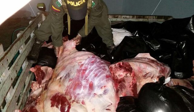 Durante el año 2015 las autoridades han recogido 185.879 kilogramos de carne y 76.434 kilogramos de vísceras. Policía
