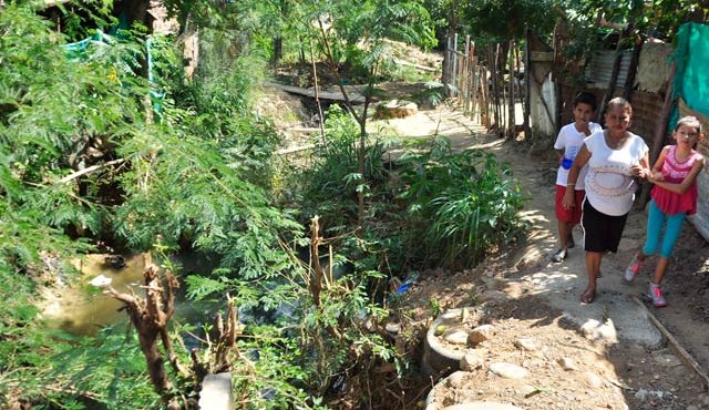 Este caño es uno de los criaderos de serpientes en la zona. En las dos últimas semanas la comunidad ha encontrado dos, de un metro y medio de largas. Edinsson Figueroa