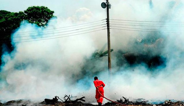 Las autoridades están alertas por la alta probabilidad de incendios forestales. Colprensa