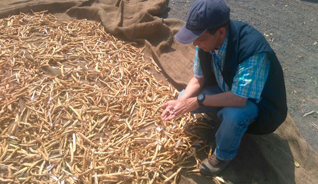 Los productores de frutas y verduras en Pamplona prefieren buscar sus propias soluciones, pues no creen en las ayudas del Estado. Roberto Ospino