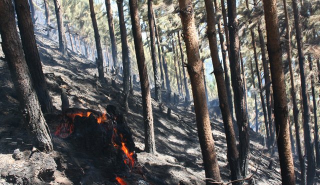 Los bomberos de Pamplona atienden incendios forestales en los cerros y no tienenlos equipos necesarios para la atención de emergencias. Roberto Ospino