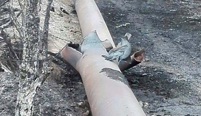 Utilizaron medios y métodos ilícitos de guerra y actos de terrorismo. Colprensa