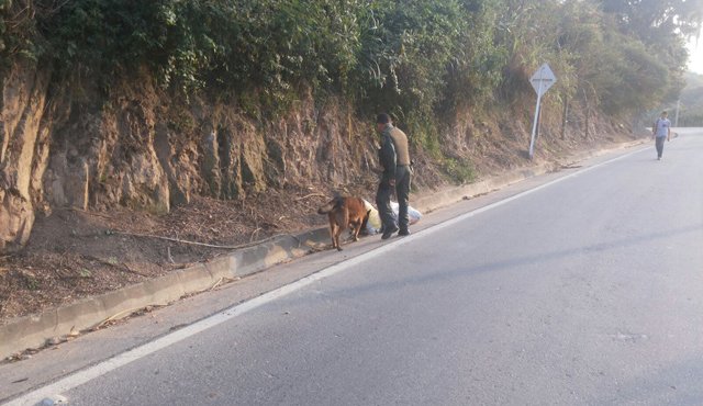 Una alerta por explosivos se presenta en un sector de la vía Sardinata - Cúcuta. Suministrada