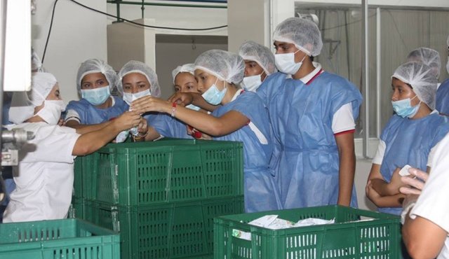 En la presente vigencia, el PAE se repartirá a 58 mil 021 escolares pobres de los colegios públicos de Cúcuta. Archivo