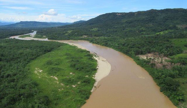 Se pretende que en Catatumbo se haga la millonaria inversión, exclusivamente para la sustitución de cultivos de coca. Archivo