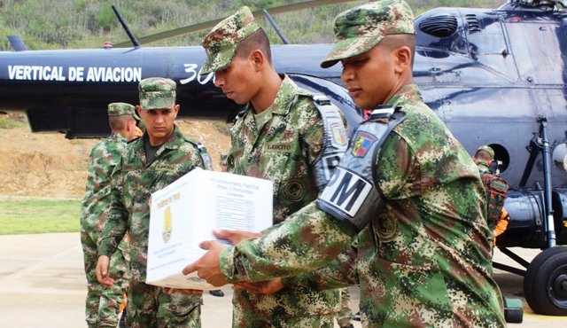 La emergencia ambiental se presenta desde hace unos ocho días en este parque natural. Ejército Nacional
