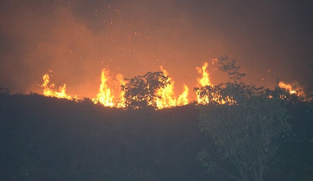 En El Tarra también se han presentado incendios. El último afectó las veredas Palma de Vino y La Campana. Cortesía