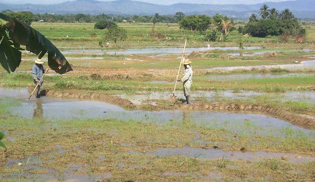 Los distritos de riego son esenciales para el buen uso del agua en el campo. Colprensa