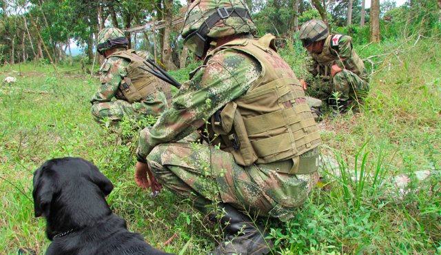 Las tropas desarrollaron operaciones para presionar a los secuestradores, quienes pedían 100 millones de pesos para liberar al adolescente. Colprensa