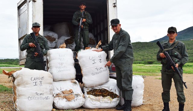 Los 22 bultos de hoja de tabaco fueron decomisados en una trocha de San Antonio. Cortesía