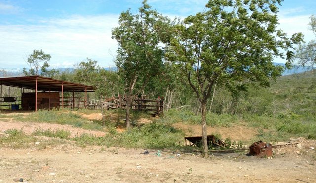 La cruzada para recuperar unas 300 zonas cedidas por constructores para la construcción de parques y zonas verdes cubrirá toda la ciudad. Rodrigo Sandoval