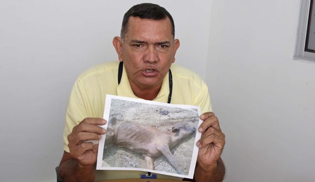 Los animales, decomisados por la Dian desde el 11 de septiembre, son reclamados por un repatriado. Archivo