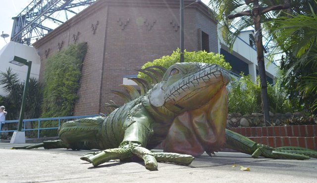 Esta gigantesca iguana fue hecha por el artista Martín Gómez con 50 llantas viejas que recogió de la calle. Su propuesta es que el municipio o la empresa privada patrocine la instalación de 15 de estas en El Malecón. Edinsson Figueroa