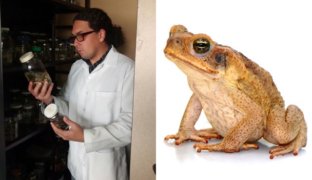 El docente y director del grupo de Ecología y Biogeografía de la Universidad de Pamplona, Aldemar Restrepo, es el líder de la investigación. Roberto Ospino