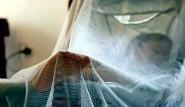 Estas cifras fueron dadas a conocer durante el Congreso Internacional del Caribe en Pediatría ‘Una mirada a las enfermedades tropicales’. Colprensa
