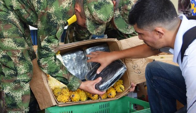 El Ejército y el CTI capturaron a un hombre de 26 años e incautaron 150 kilos de marihuana cripy, en Los Patios. Policía Nacional