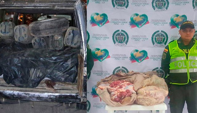 En bolsas plásticas era llevada la carne que no cumplía con los requerimientos sanitarios. Policía Nacional