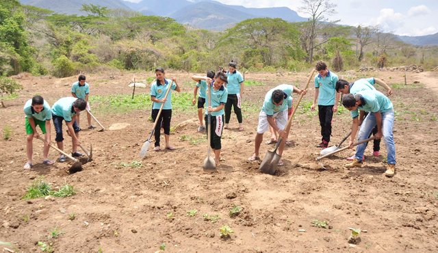 Parte de la enseñanza del hogar se centrará en la producción de 4 mil pollos. Archivo