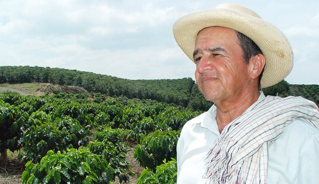 La beca cubre los costos de matrícula, material de formación, alojamiento y alimentación. Solo se exige como contraprestación que el participante aplique y comparta con su comunidad los conocimientos adquiridos. Colprensa