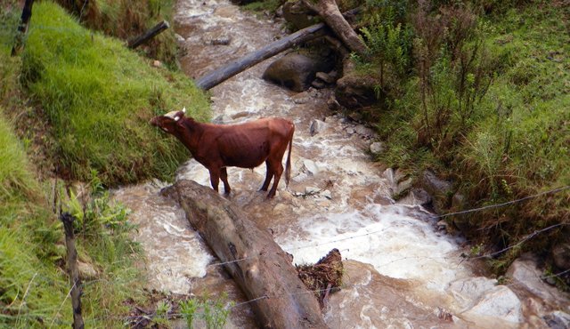 Uno de los temas que se tendrán en cuenta en la provincia de Pamplona es la conservación del río Pamplonita. Roberto Ospino