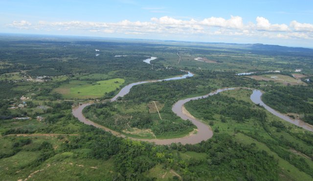 Norte de Santander es uno de los departamentos colombianos con mayor número de cultivos de coca según un informe. Archivo