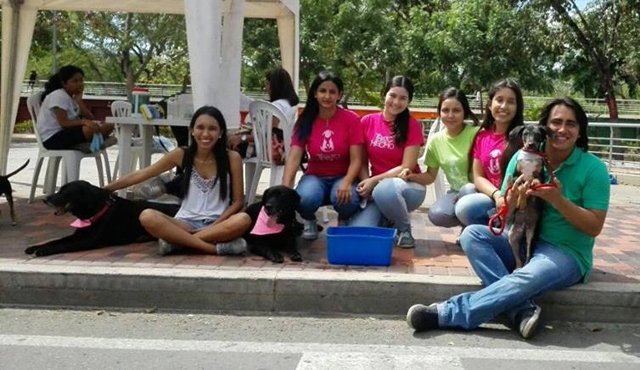 El festival se realizará en el malecón de 8 a.m. al mediodía y será liderado por Trato Hecho por los Animales. Archivo