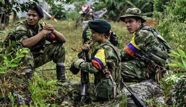 Guerrilleros de las Farc en la selva. Internet